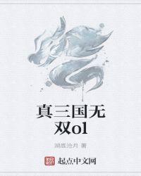 真三国无双ol双戟