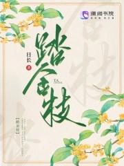 踏金枝全文免费阅读正版